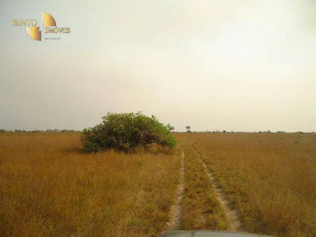Fazenda à venda e para Arrendar de 55.450 ha em Cáceres, MT, Brasil