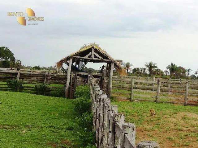 Fazenda à venda e para Arrendar de 55.450 ha em Cáceres, MT, Brasil