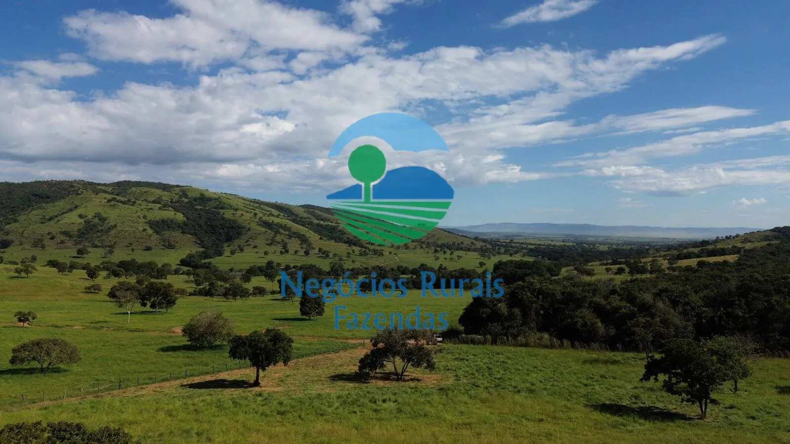 Fazenda à venda de 803 ha em Goianésia, GO, Brasil