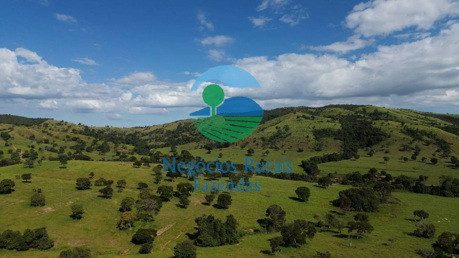 Fazenda à venda de 803 ha em Goianésia, GO, Brasil