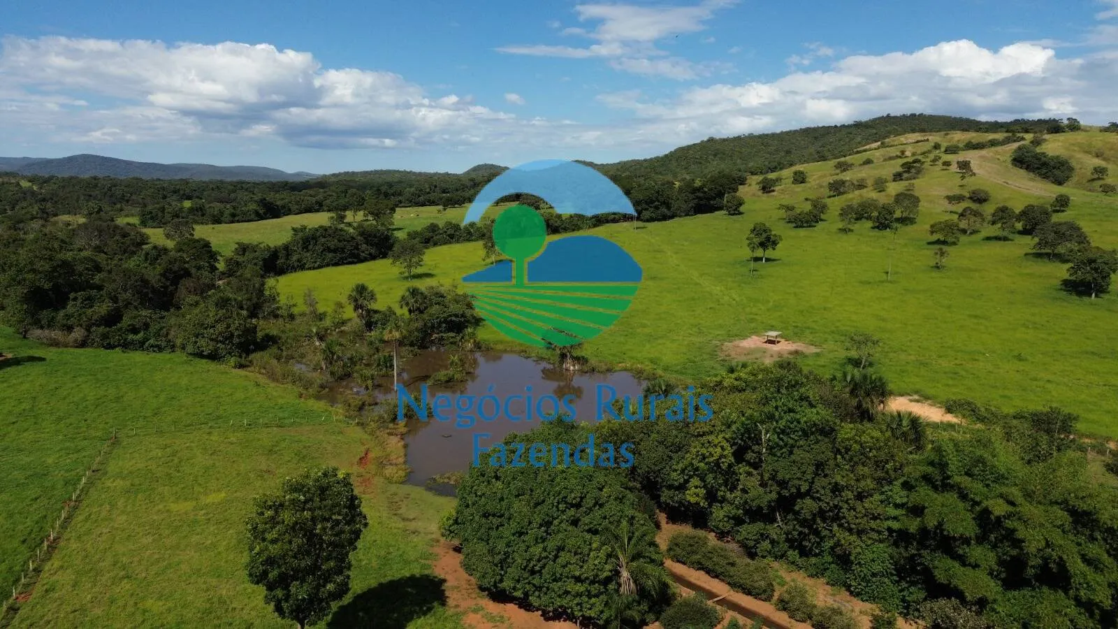 Fazenda à venda de 803 ha em Goianésia, GO, Brasil