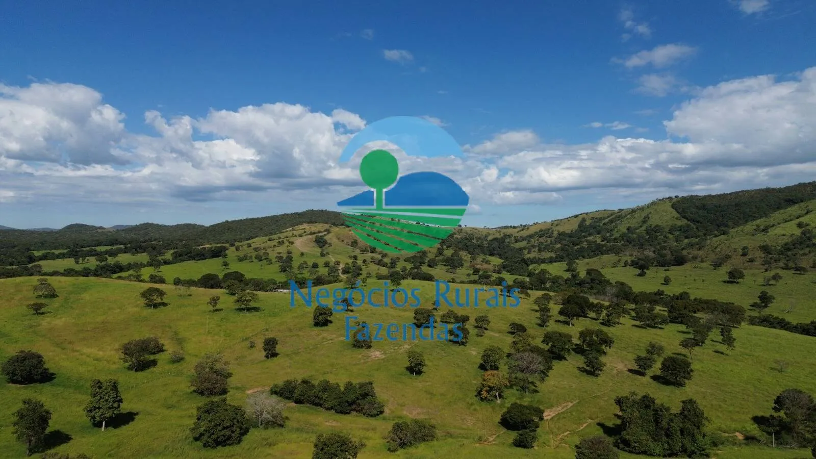 Fazenda à venda de 803 ha em Goianésia, GO, Brasil