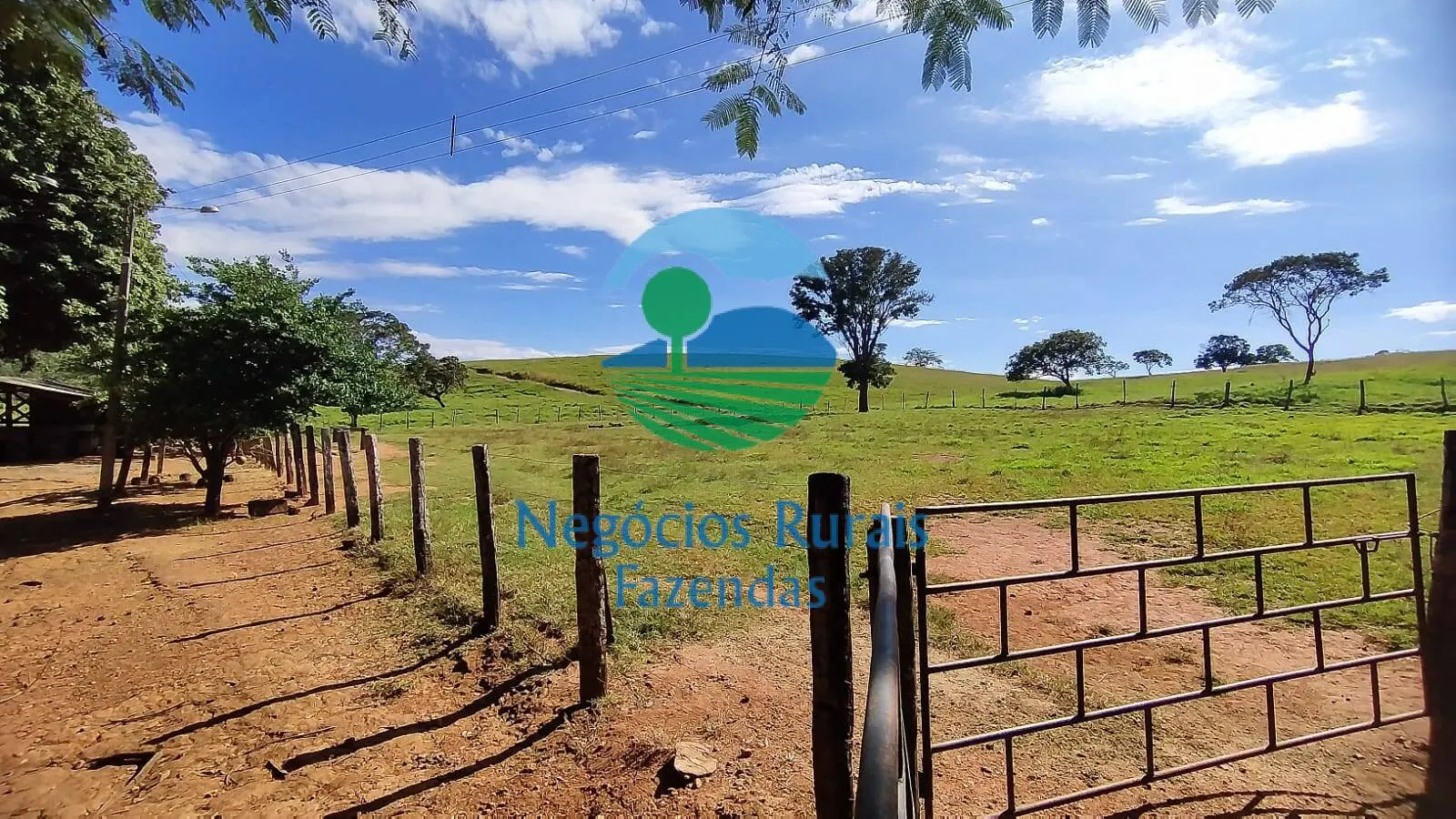 Fazenda à venda de 803 ha em Goianésia, GO, Brasil