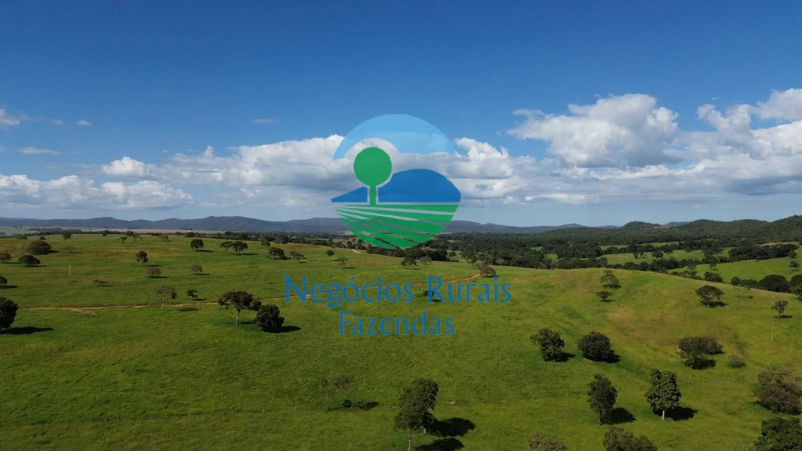 Fazenda à venda de 803 ha em Goianésia, GO, Brasil