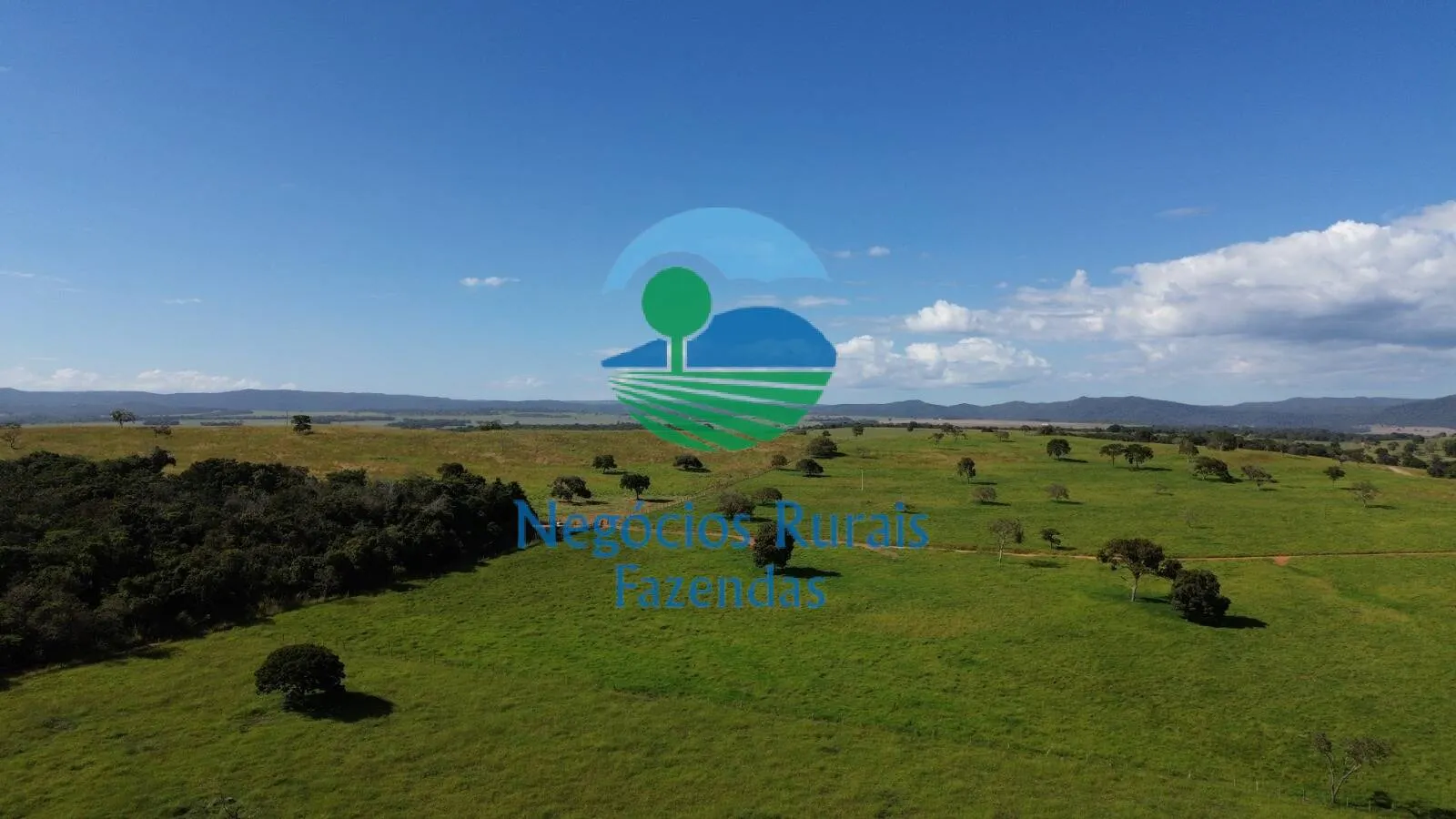 Fazenda à venda de 803 ha em Goianésia, GO, Brasil