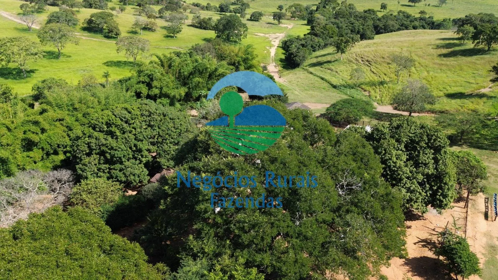 Fazenda à venda de 803 ha em Goianésia, GO, Brasil