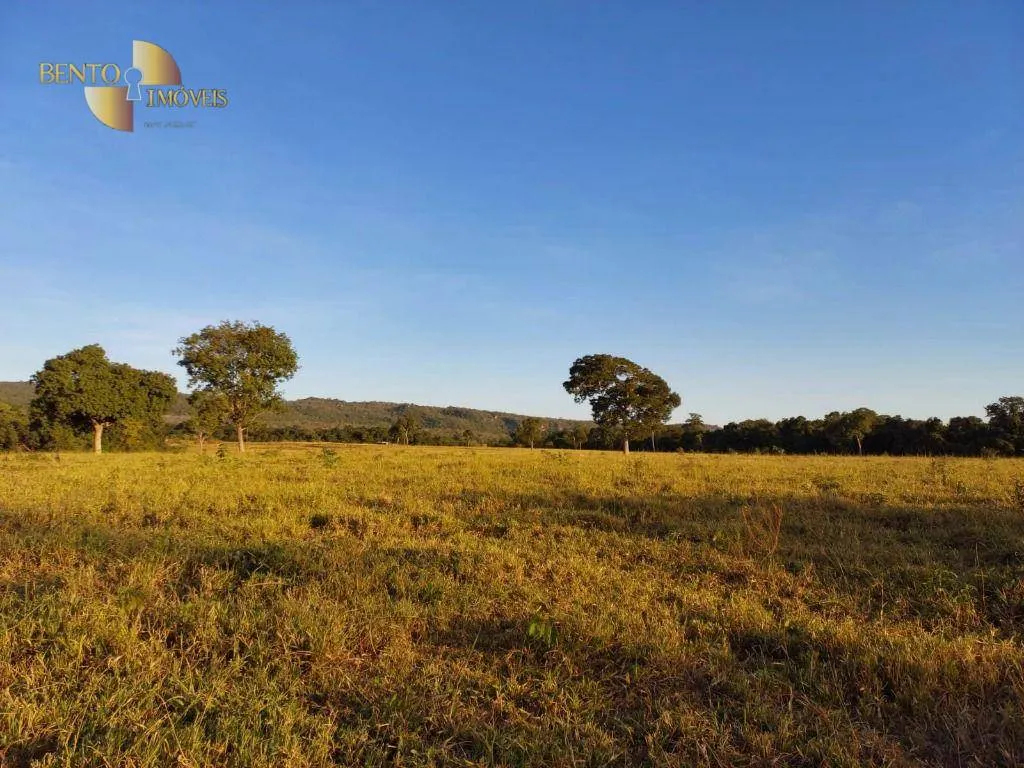 Fazenda à venda de 650 ha em Porto Estrela, MT, Brasil
