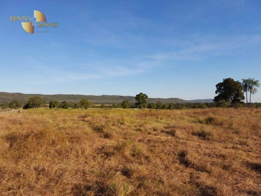 Fazenda à venda de 650 ha em Porto Estrela, MT, Brasil