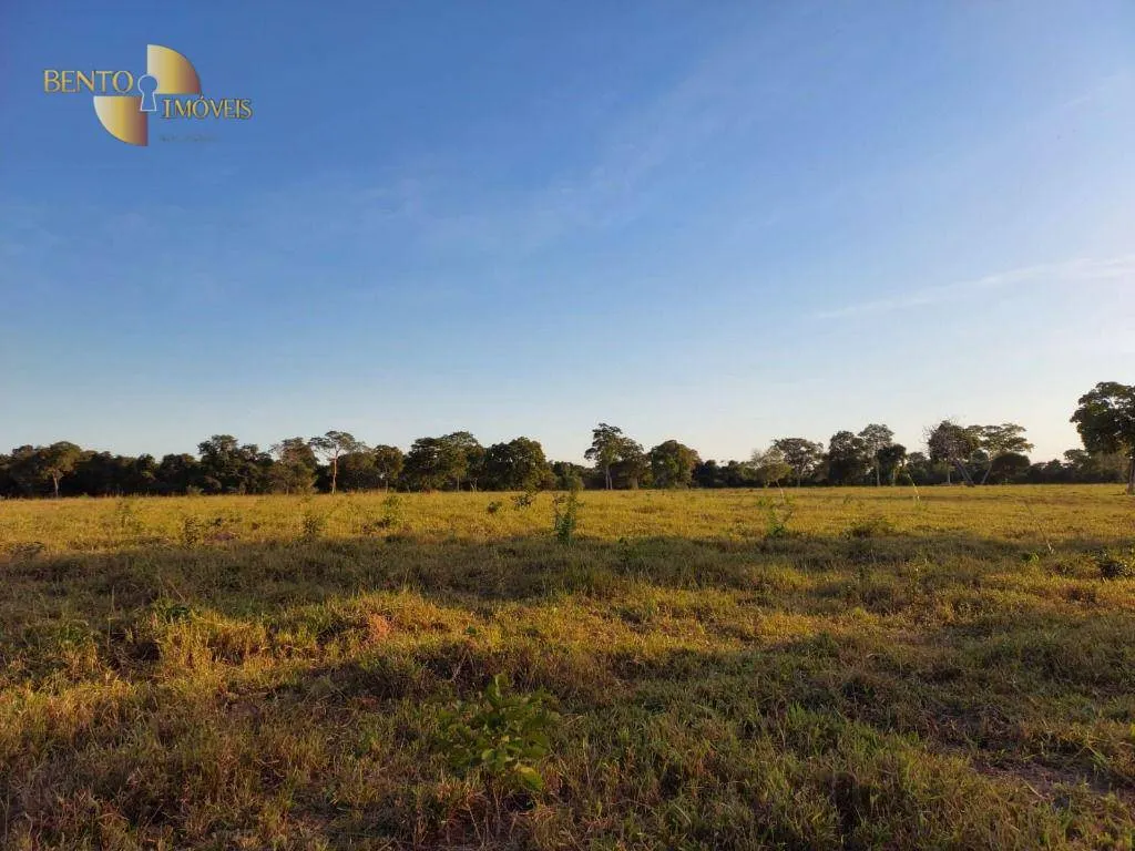 Fazenda à venda de 650 ha em Porto Estrela, MT, Brasil