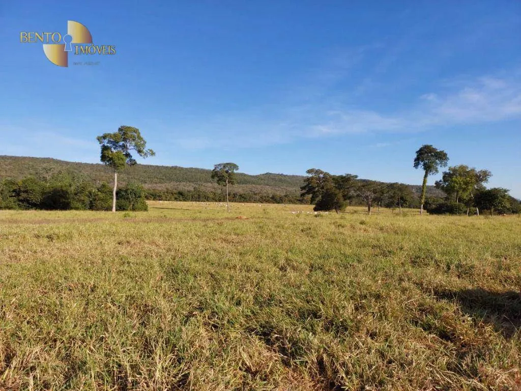 Fazenda à venda de 650 ha em Porto Estrela, MT, Brasil