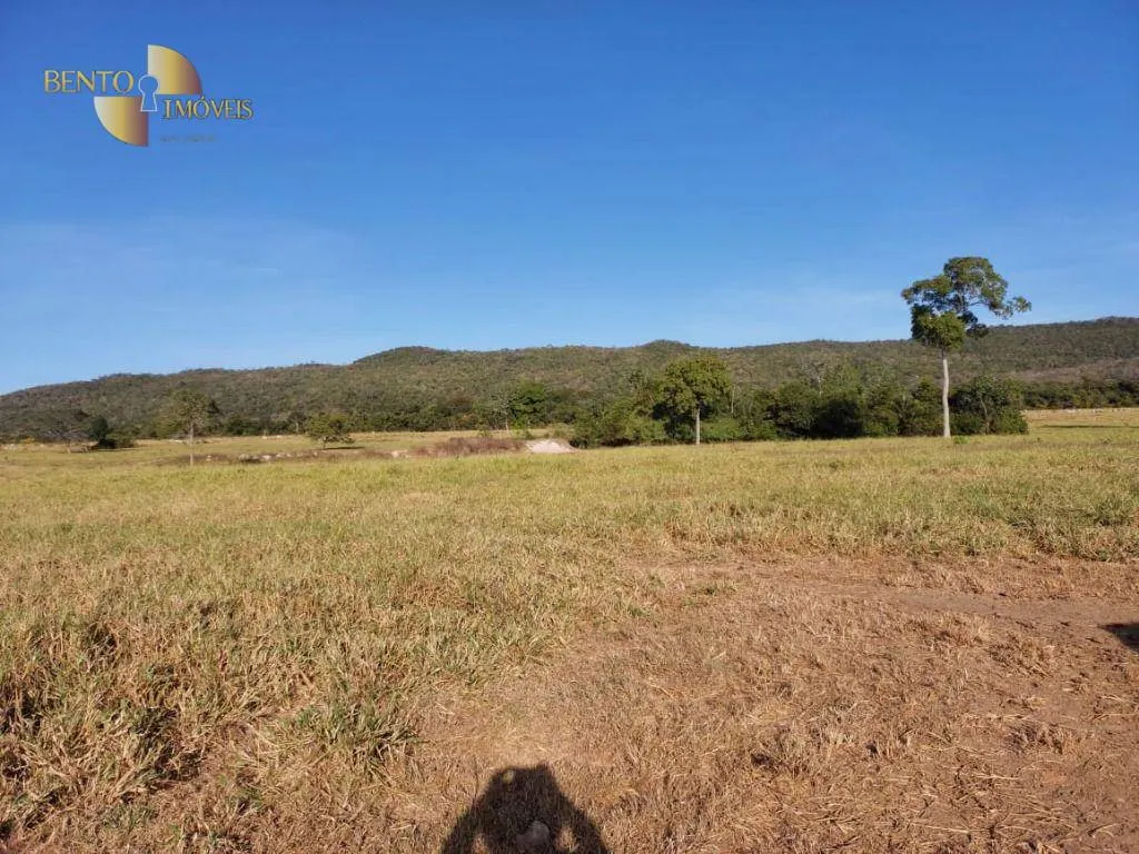 Fazenda à venda de 650 ha em Porto Estrela, MT, Brasil