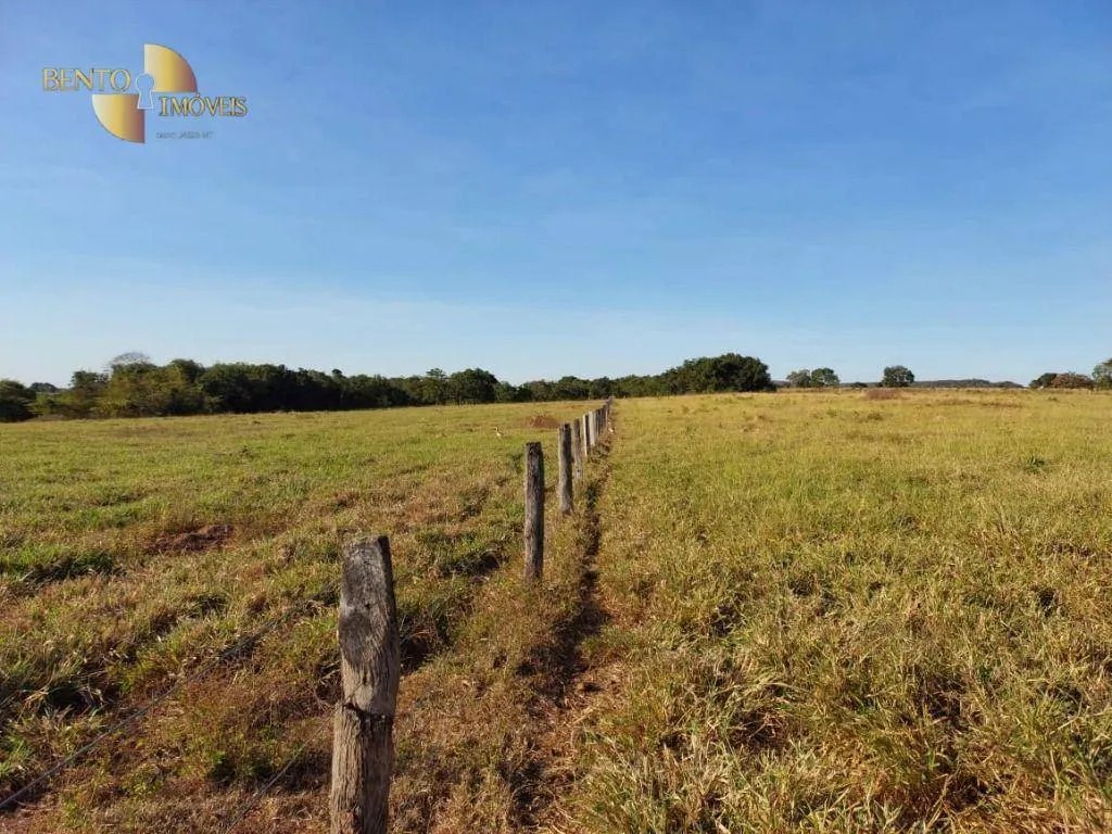 Fazenda à venda de 650 ha em Porto Estrela, MT, Brasil