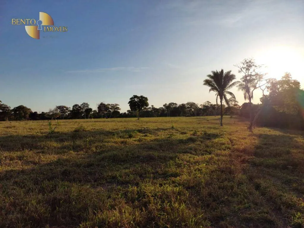 Fazenda à venda de 650 ha em Porto Estrela, MT, Brasil