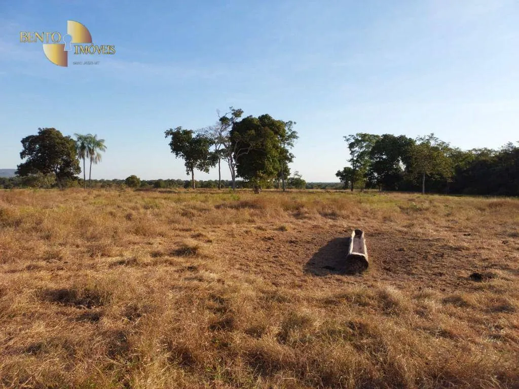 Fazenda à venda de 650 ha em Porto Estrela, MT, Brasil