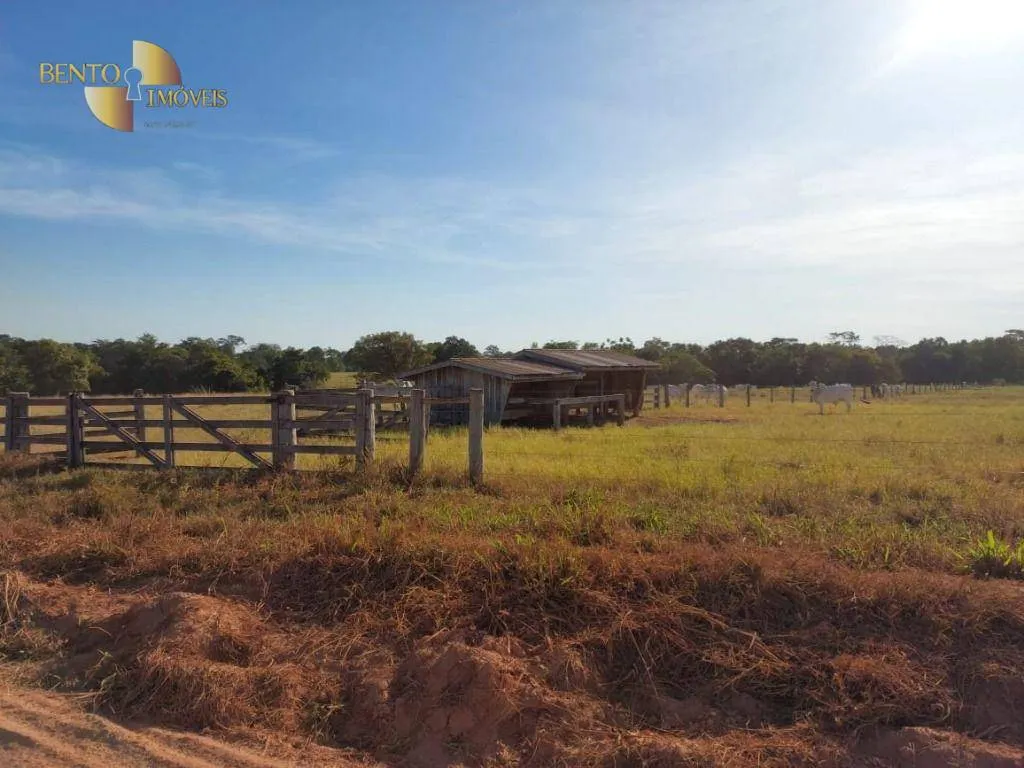 Fazenda à venda de 650 ha em Porto Estrela, MT, Brasil
