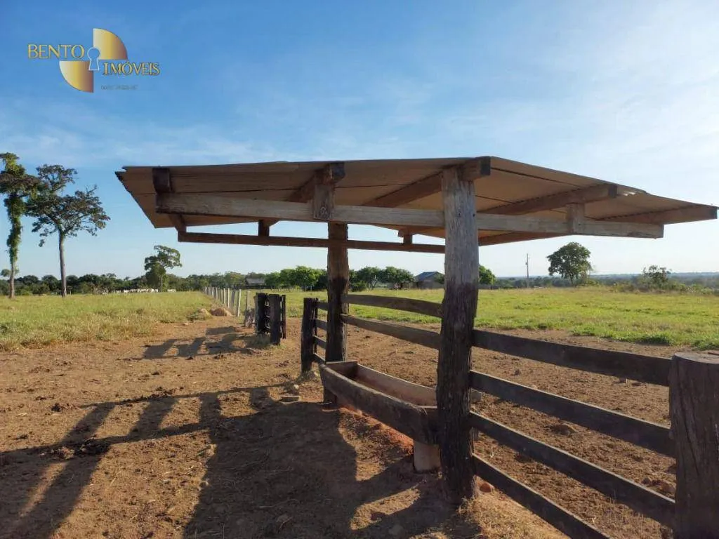 Fazenda à venda de 650 ha em Porto Estrela, MT, Brasil