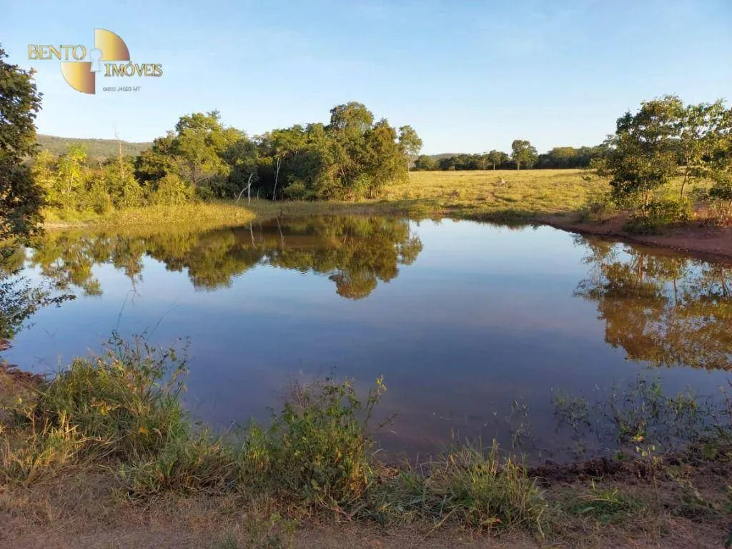 Fazenda à venda de 650 ha em Porto Estrela, MT, Brasil