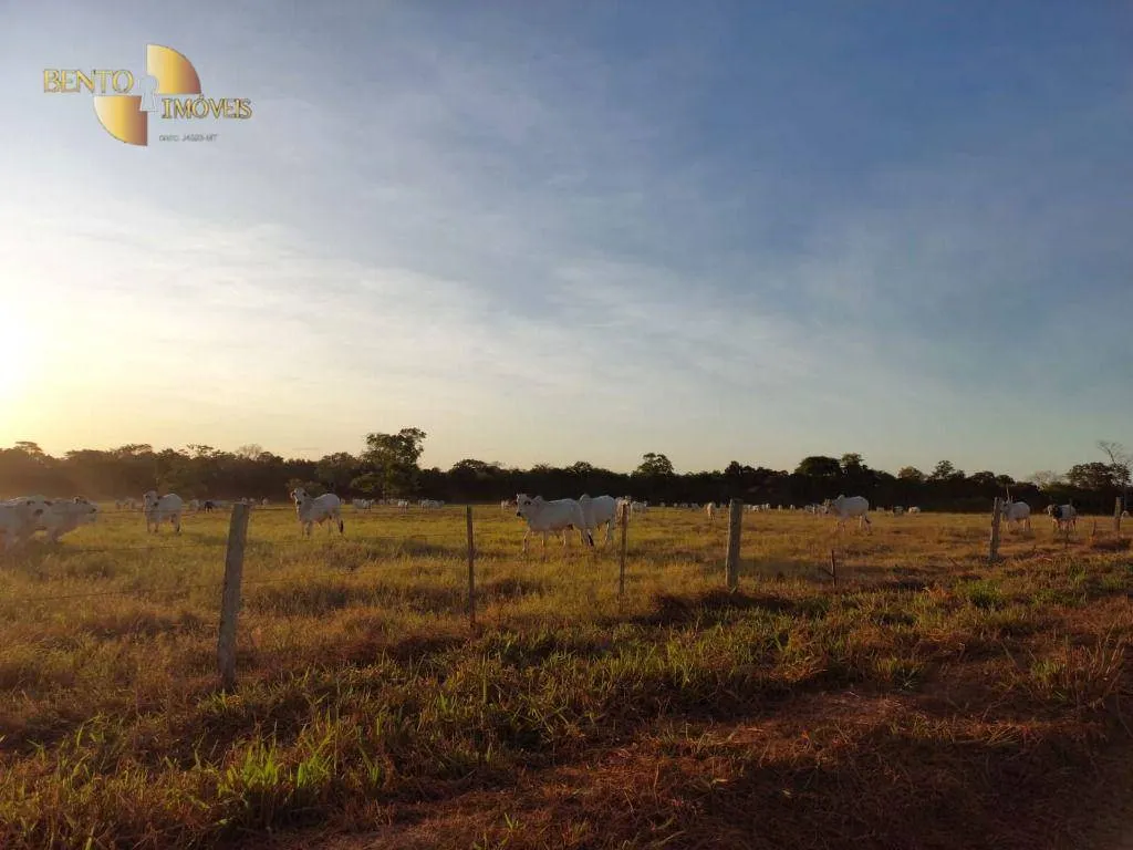 Fazenda à venda de 650 ha em Porto Estrela, MT, Brasil