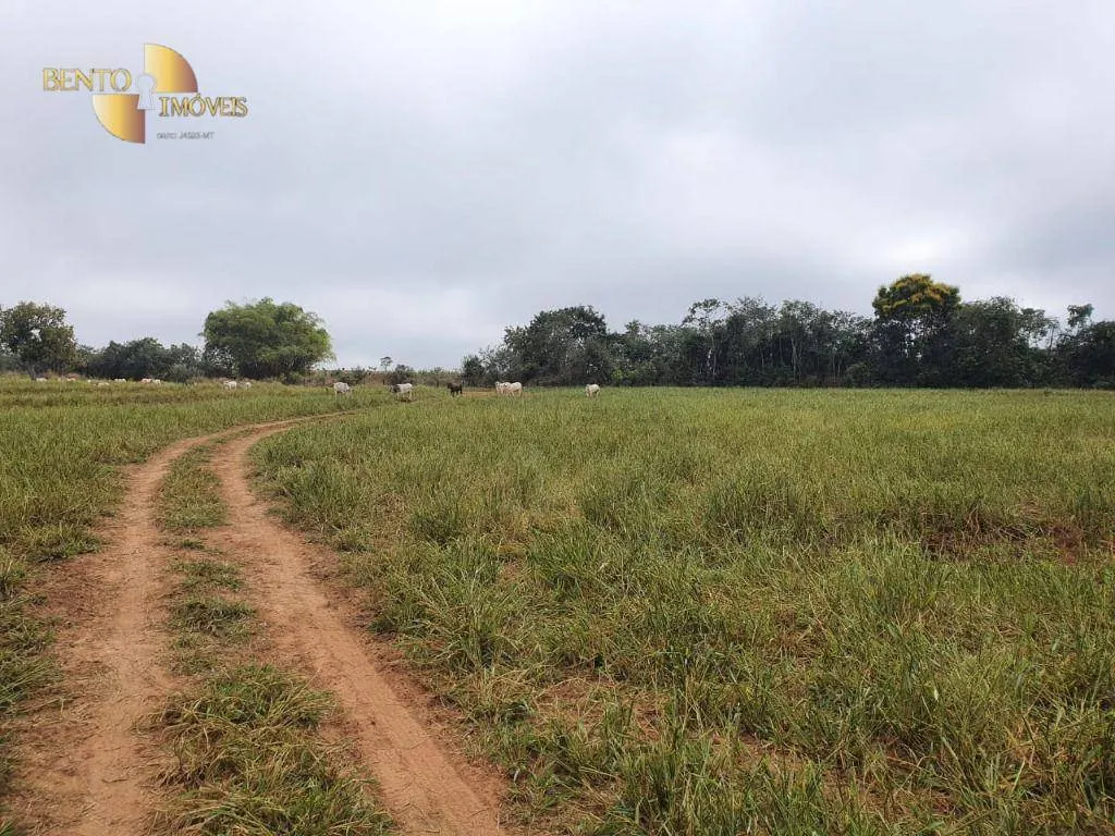 Fazenda à venda de 1.137 ha em Dom Aquino, MT, Brasil