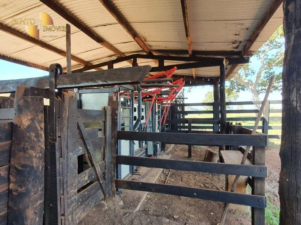 Fazenda à venda de 1.137 ha em Dom Aquino, MT, Brasil