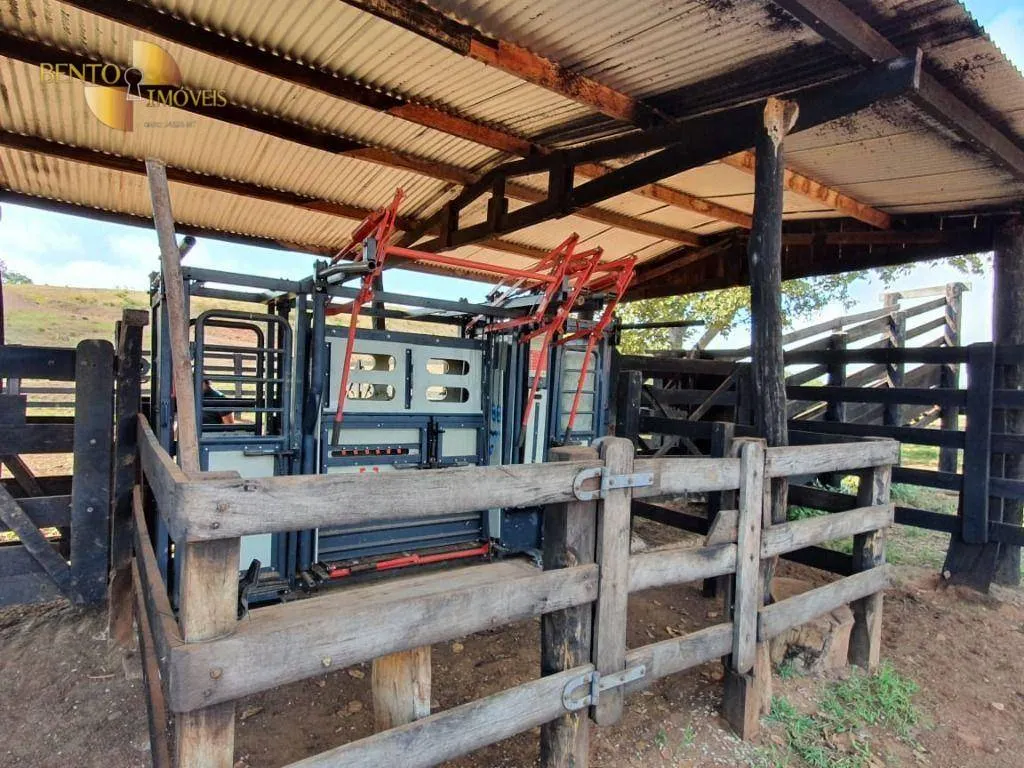 Fazenda à venda de 1.137 ha em Dom Aquino, MT, Brasil