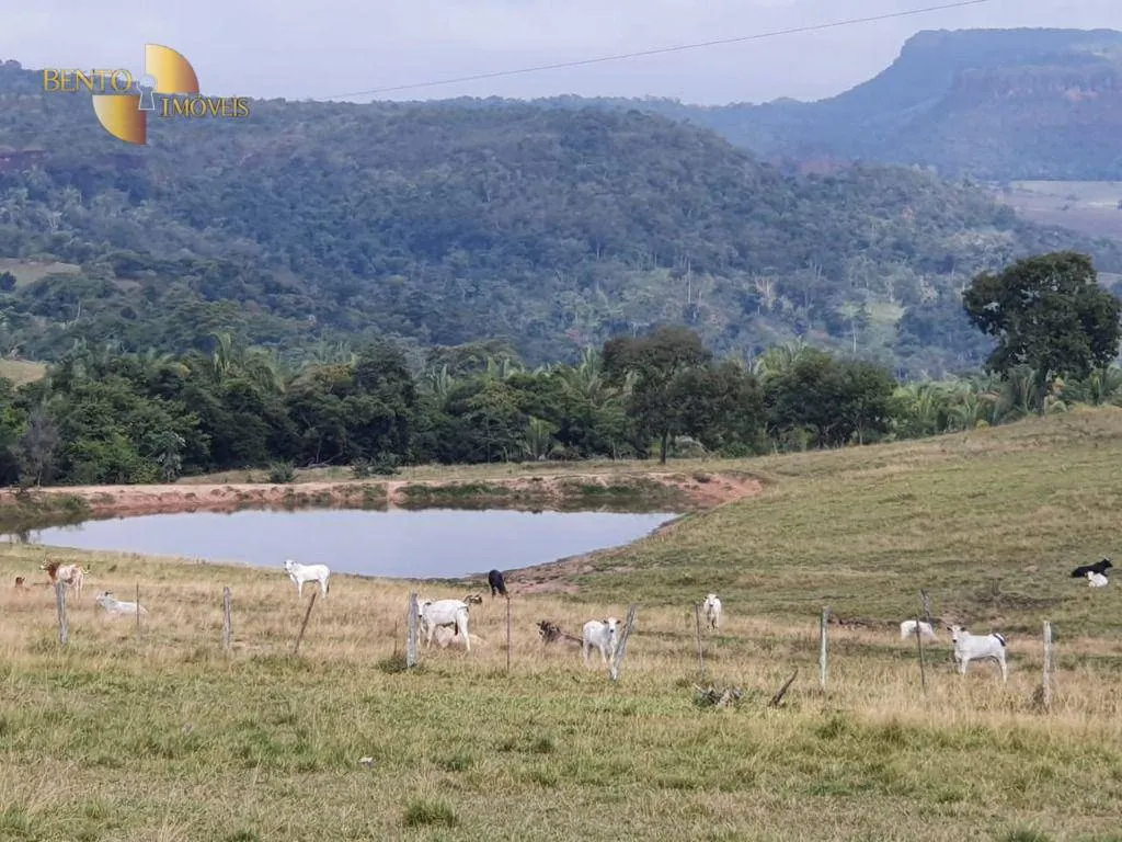 Fazenda à venda de 1.137 ha em Dom Aquino, MT, Brasil