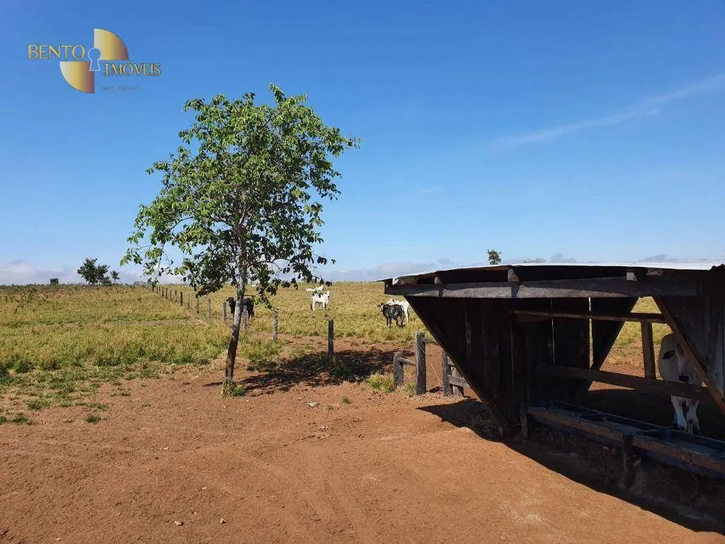 Fazenda à venda de 1.137 ha em Dom Aquino, MT, Brasil