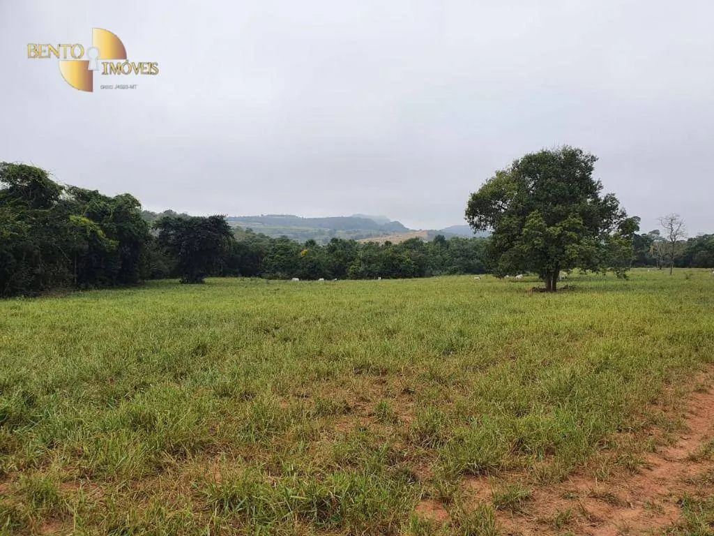 Fazenda à venda de 1.137 ha em Dom Aquino, MT, Brasil