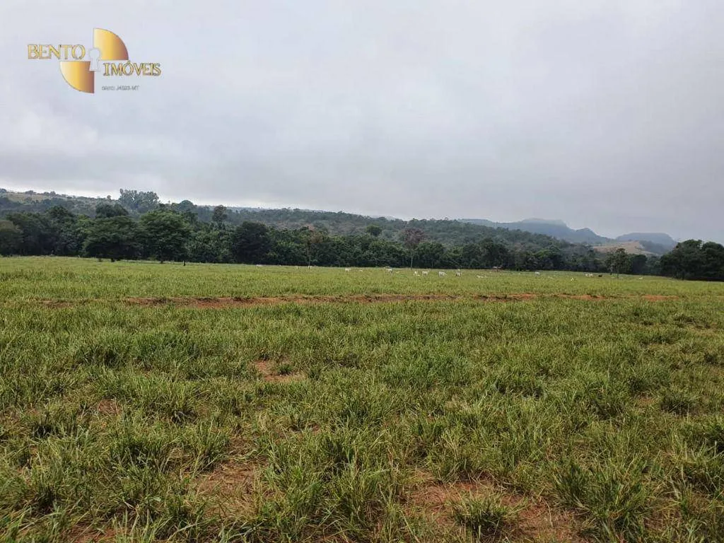 Fazenda à venda de 1.137 ha em Dom Aquino, MT, Brasil