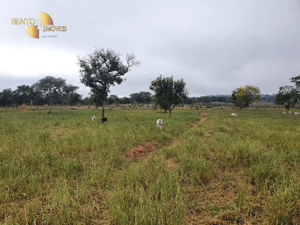 Fazenda à venda de 1.137 ha em Dom Aquino, MT, Brasil