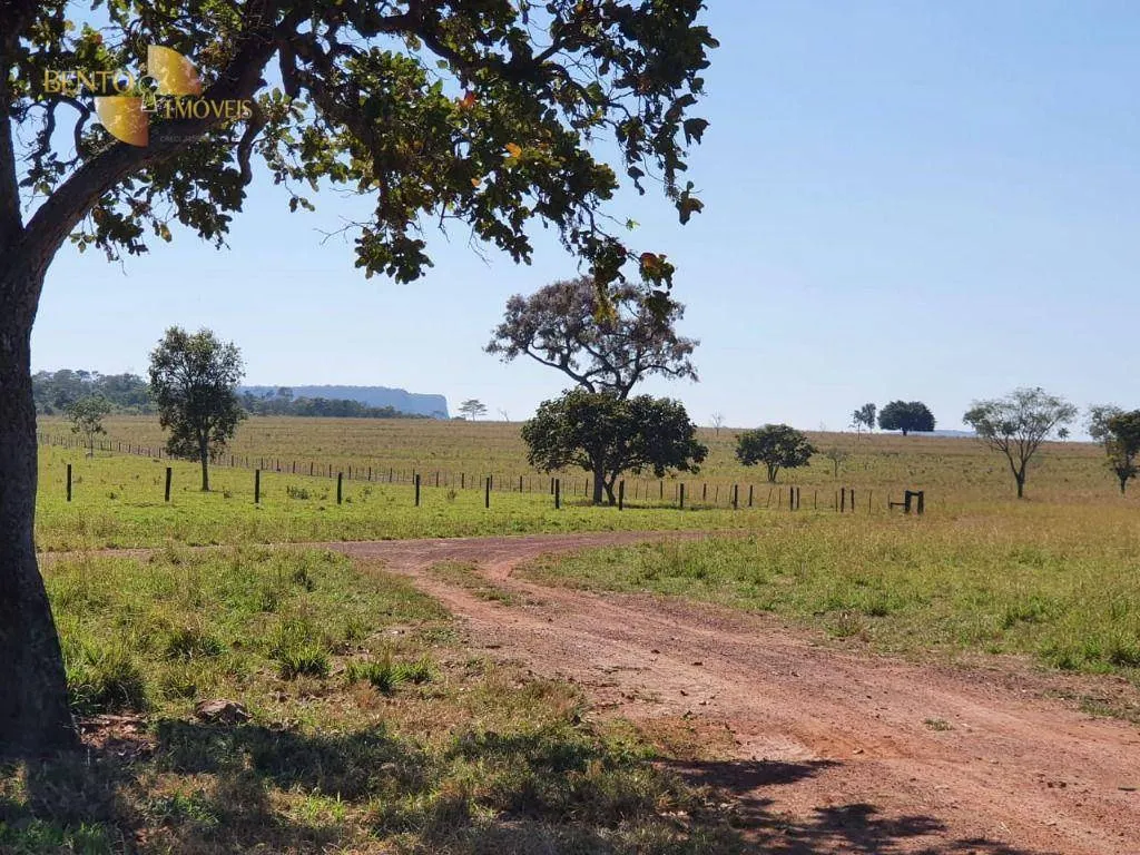 Fazenda à venda de 1.137 ha em Dom Aquino, MT, Brasil