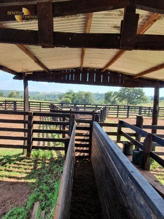 Fazenda à venda de 1.137 ha em Dom Aquino, MT, Brasil