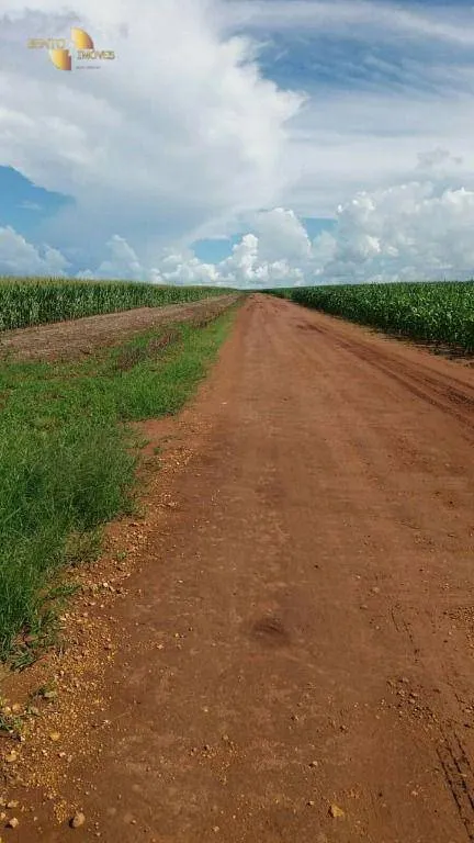 Fazenda à venda de 9.000 ha em Sapezal, MT, Brasil