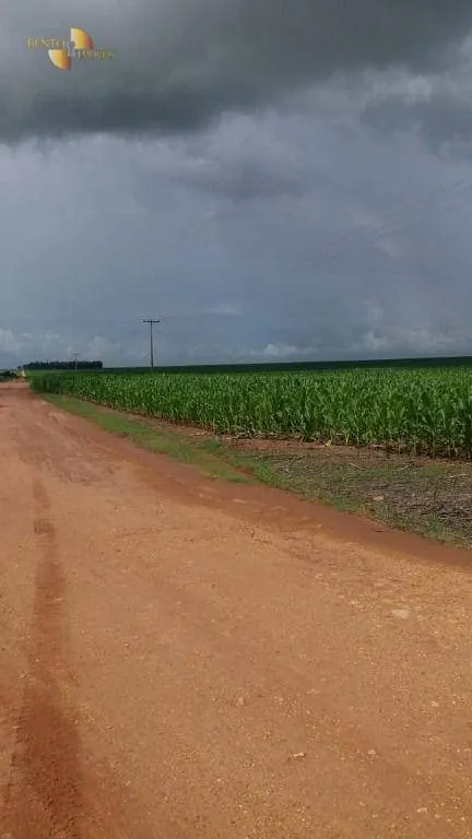 Fazenda à venda de 9.000 ha em Sapezal, MT, Brasil