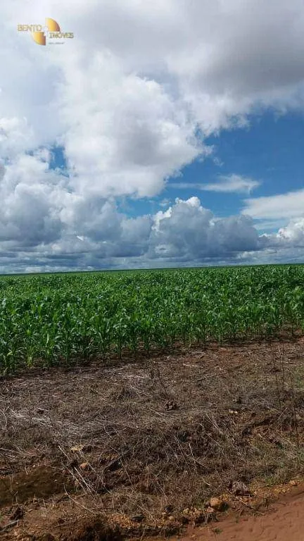 Fazenda à venda de 9.000 ha em Sapezal, MT, Brasil
