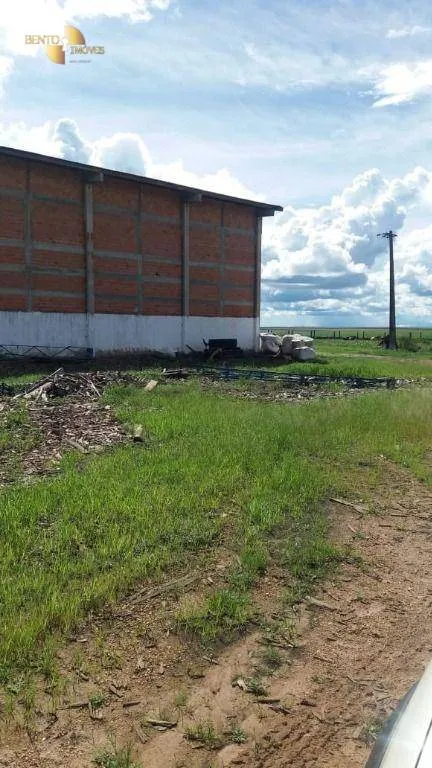 Fazenda à venda de 9.000 ha em Sapezal, MT, Brasil