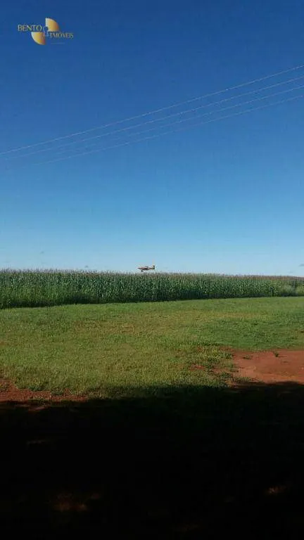 Fazenda à venda de 9.000 ha em Sapezal, MT, Brasil