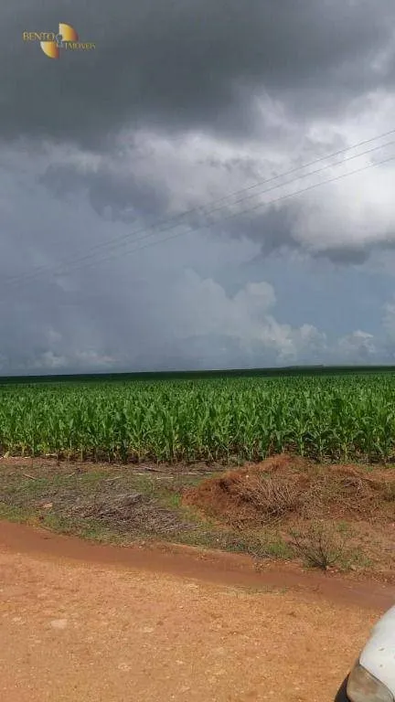 Fazenda à venda de 9.000 ha em Sapezal, MT, Brasil