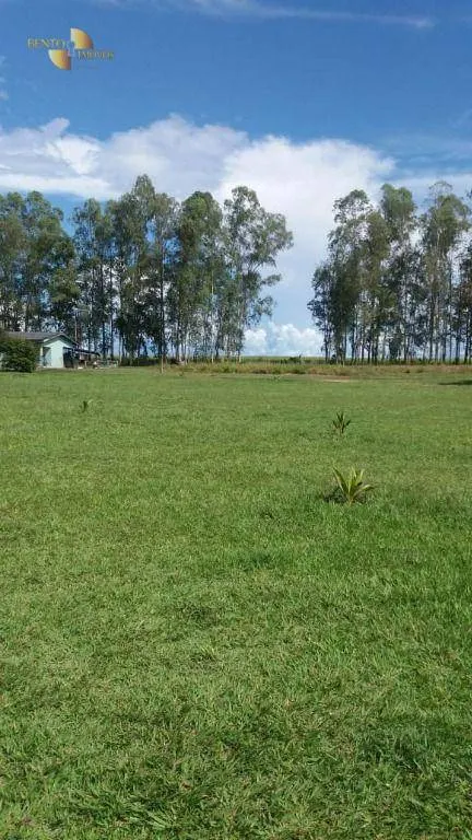 Fazenda à venda de 9.000 ha em Sapezal, MT, Brasil