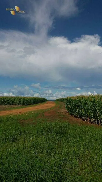 Fazenda à venda de 9.000 ha em Sapezal, MT, Brasil