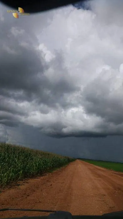 Fazenda à venda de 9.000 ha em Sapezal, MT, Brasil