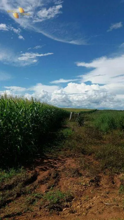 Fazenda à venda de 9.000 ha em Sapezal, MT, Brasil