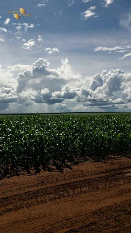 Fazenda à venda de 9.000 ha em Sapezal, MT, Brasil