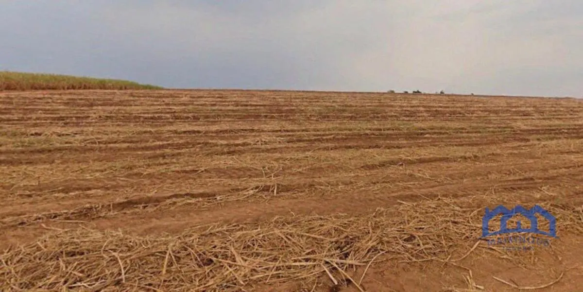 Fazenda à venda de 387 ha em Porto Feliz, SP, Brasil