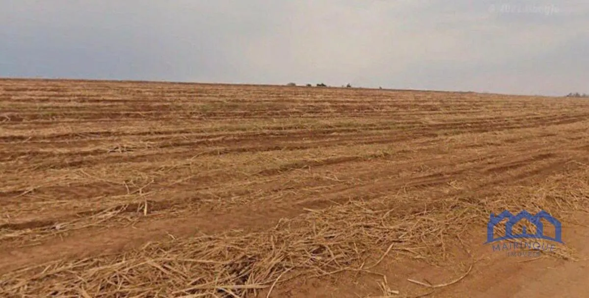 Fazenda à venda de 387 ha em Porto Feliz, SP, Brasil