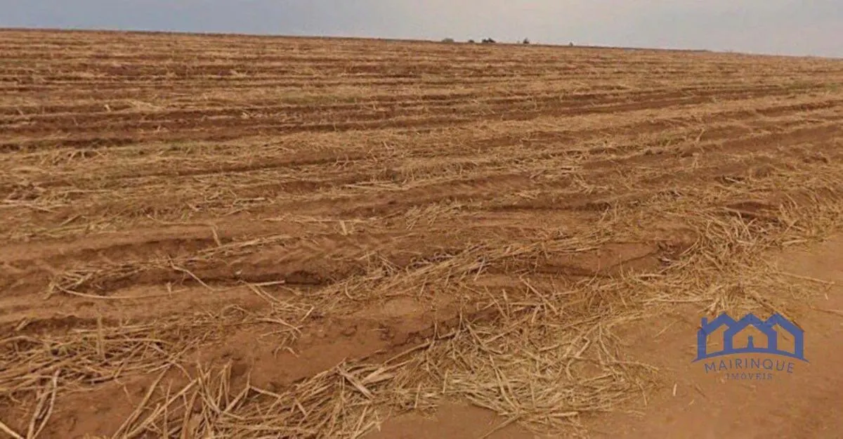 Fazenda à venda de 387 ha em Porto Feliz, SP, Brasil