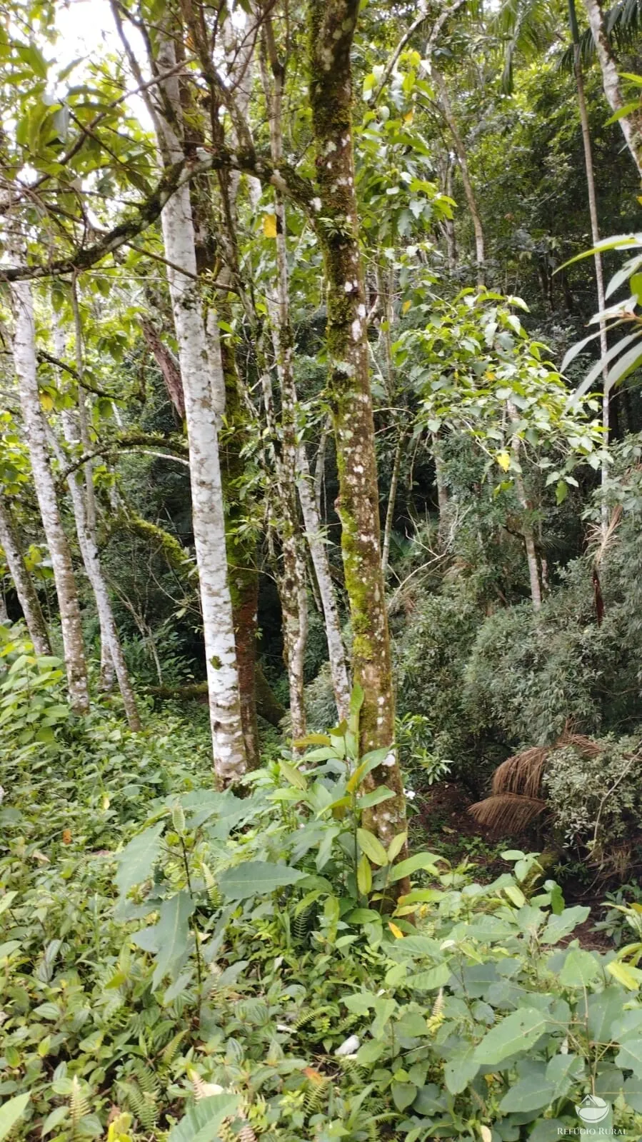Chácara à venda de 1 ha em São José dos Campos, SP, Brasil