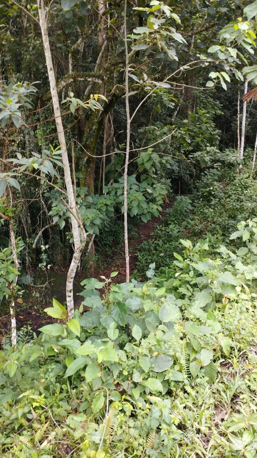 Chácara à venda de 1 ha em São José dos Campos, SP, Brasil