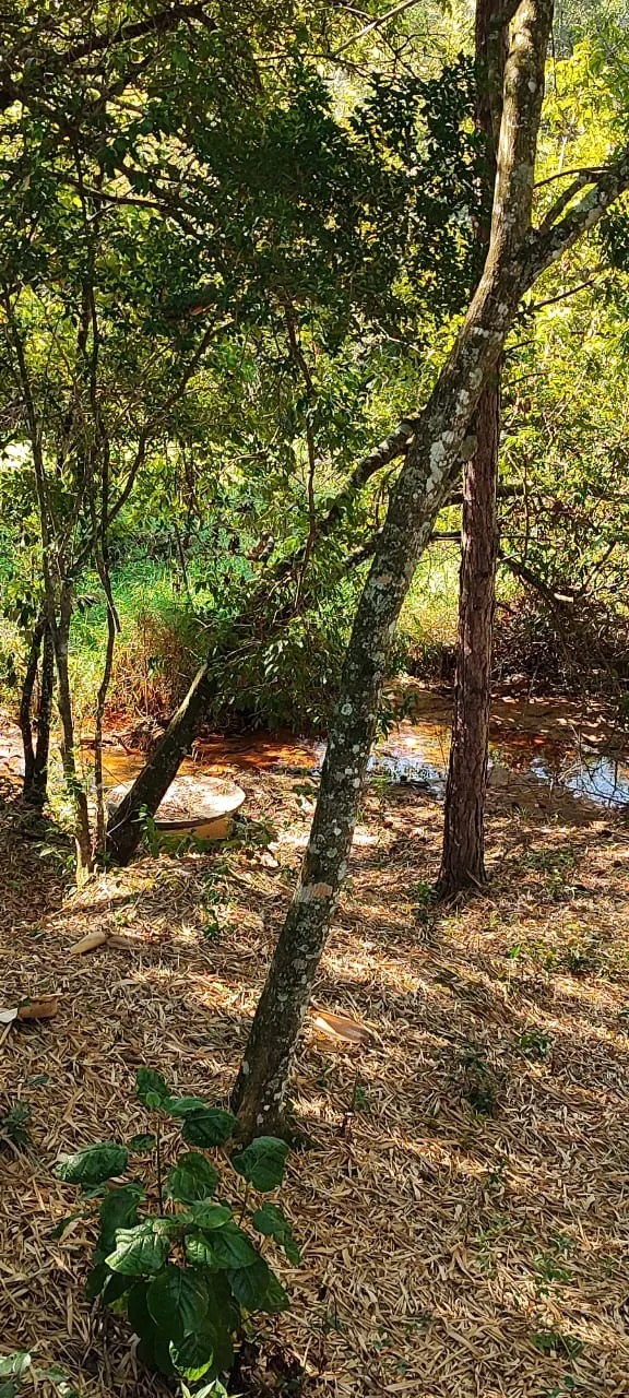 Country home for sale of 6 acres in Itapetininga, SP, Brazil
