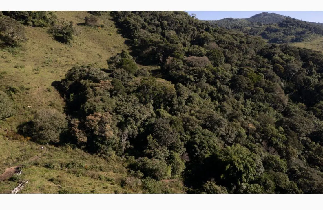 Plot for sale of 42 acres in Itapeva, MG, Brazil